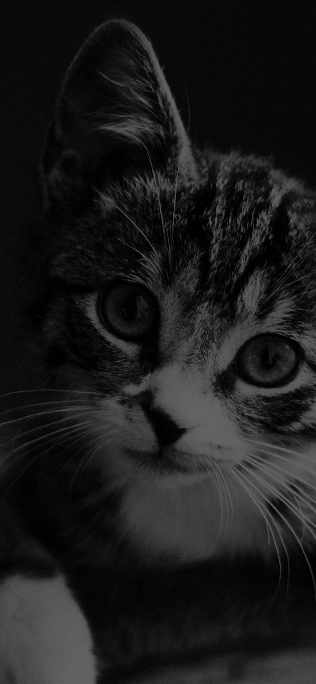 Dark Girly Wallpaper