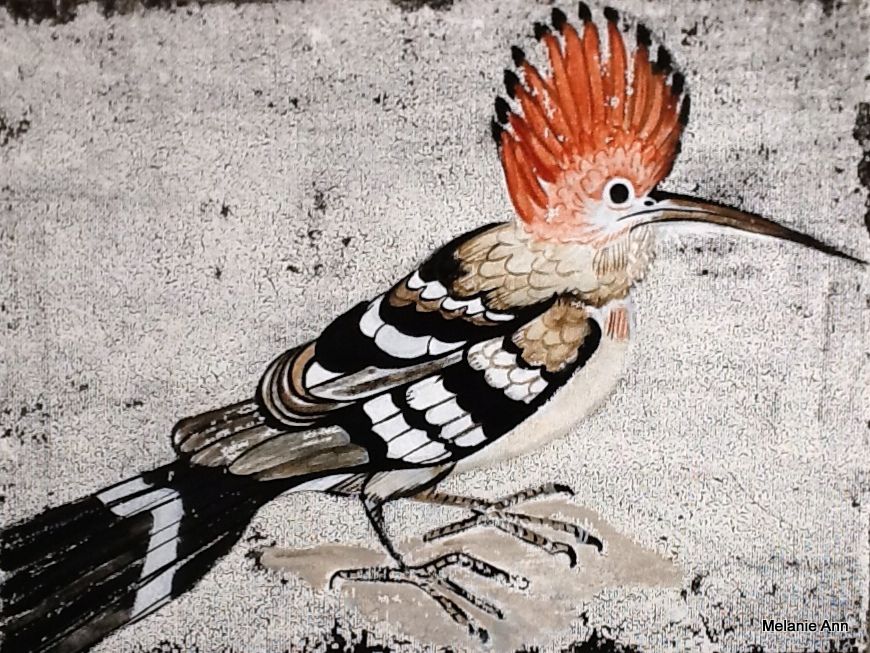 Melanie Ann Juliette Hoopoe On Oldy Worldy Background Acrylic