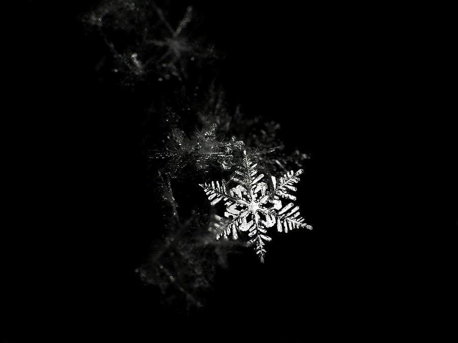 Snowflake Black And White