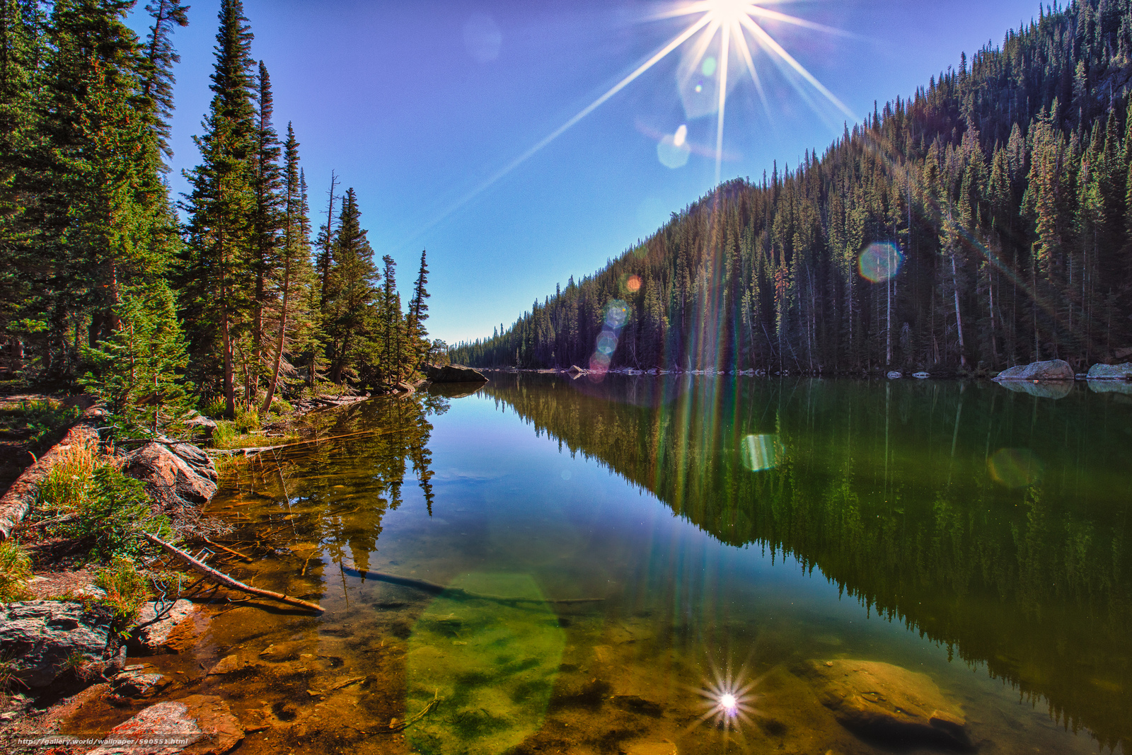Lake Rocky Mountain National Park lake trees free desktop wallpaper