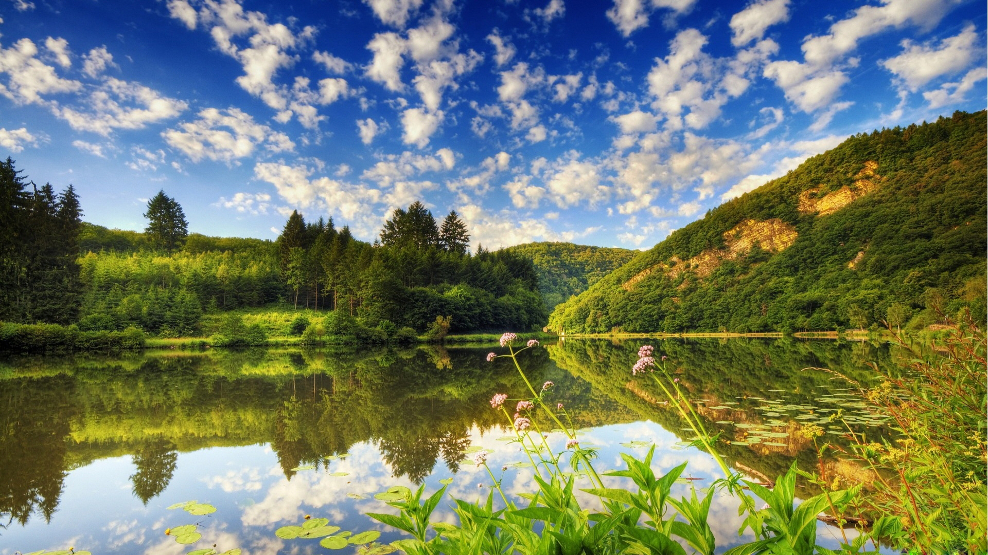 Serene lake reflecting a vibrant green forest and a cloudy blue sky