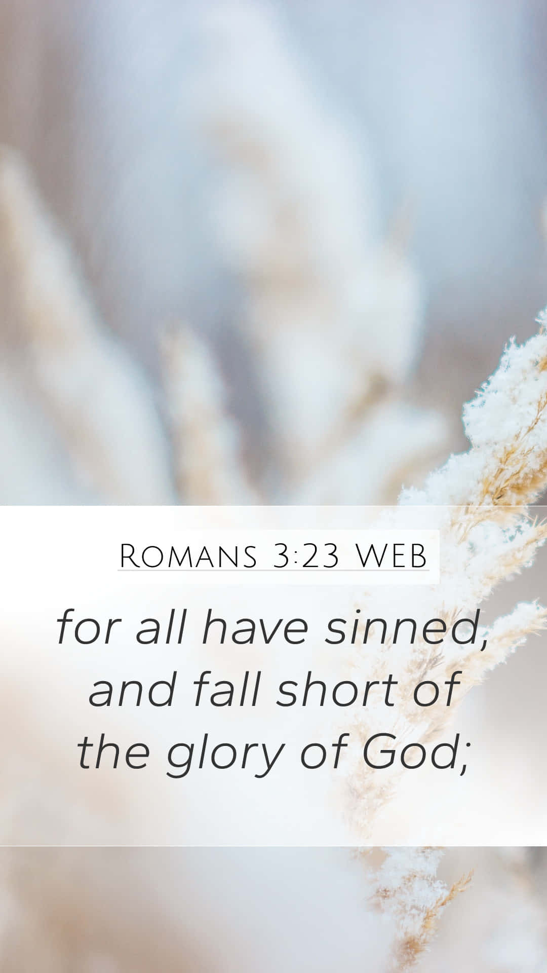Bible Verse Phone Wallpaper