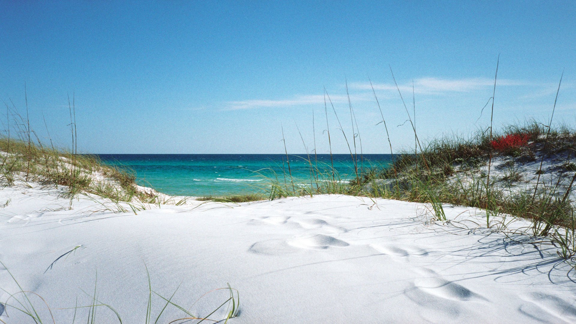 Grayton Beach Dunes below is shown smaller than the actual size of