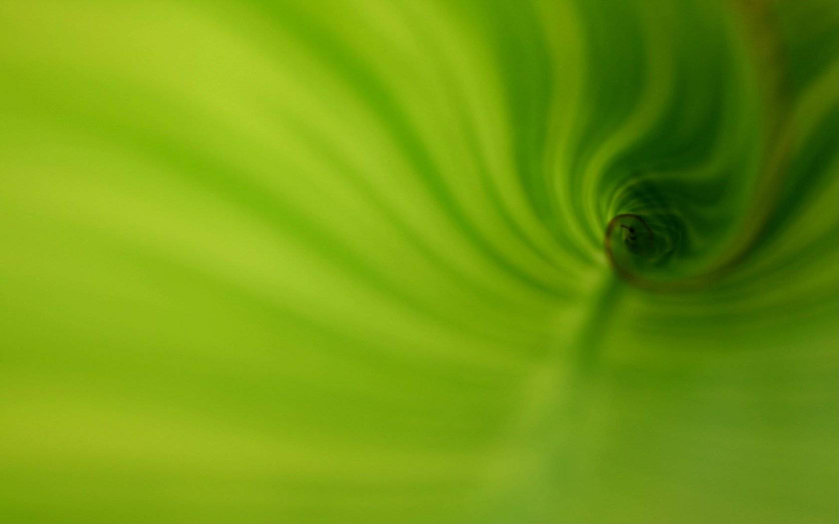 Green Swirl Wallpaper Hq