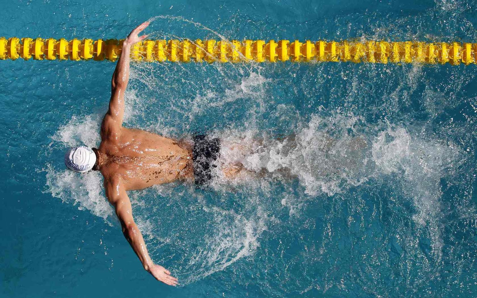 HD Wallpaper Swimming
