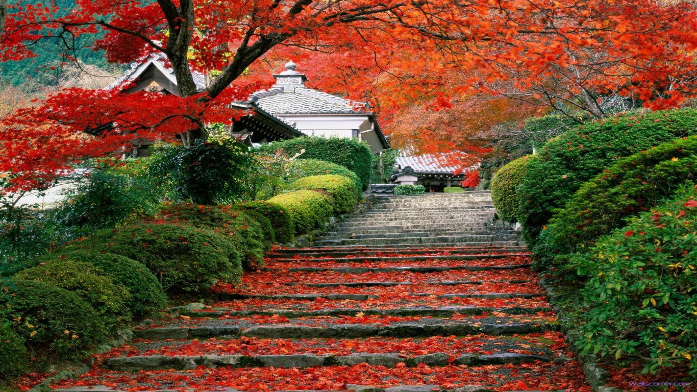 Kyoto Japan Beauty Garden Staircase HD Wallpaper