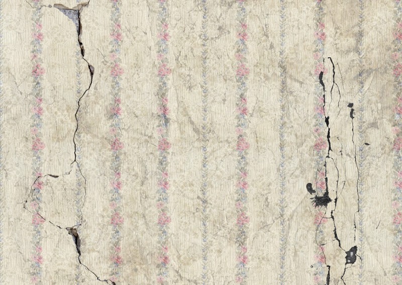 Fix Damaged Wallpaper Lifestyle News