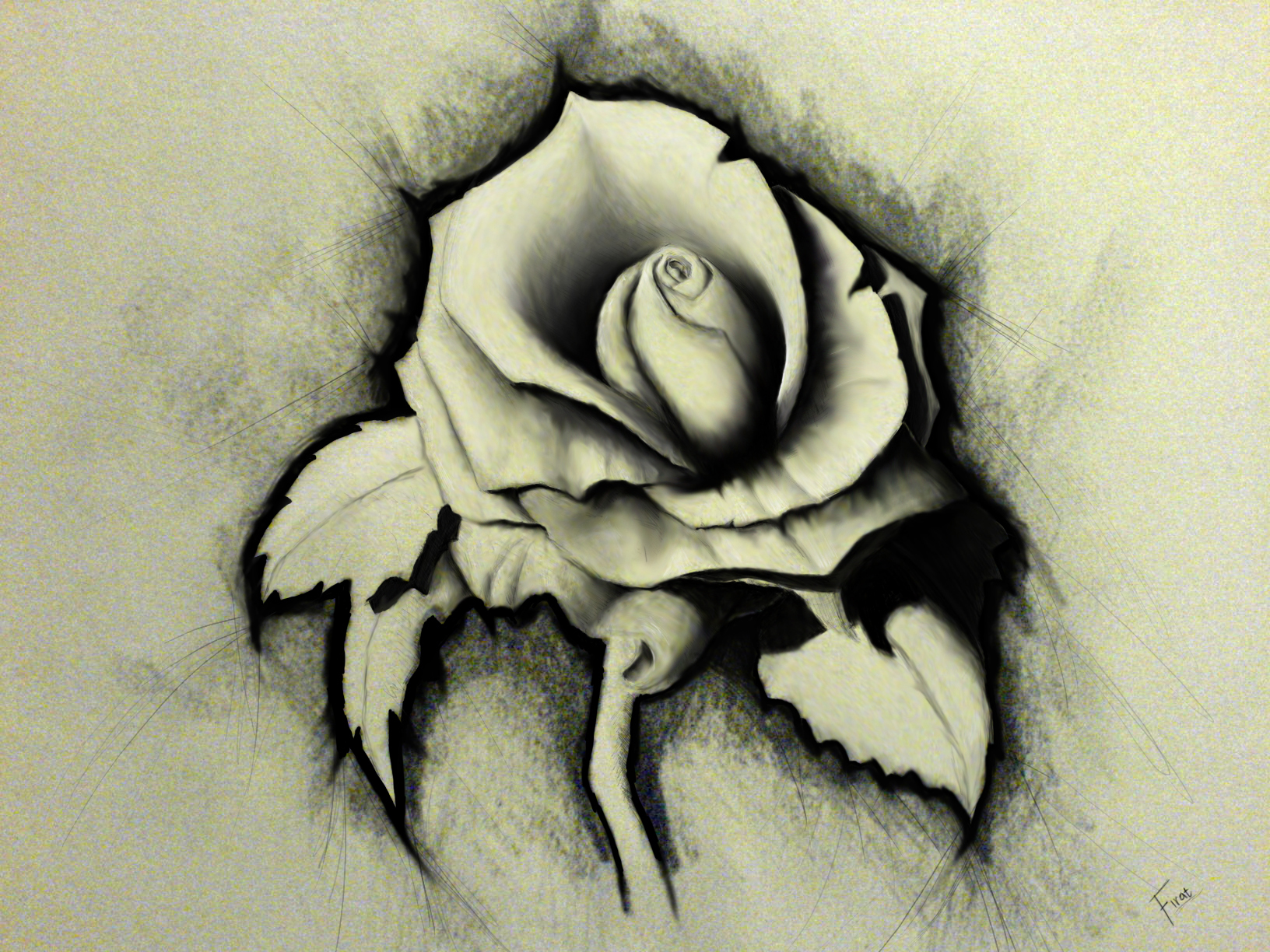 Artistic Rose Drawing Wallpaper