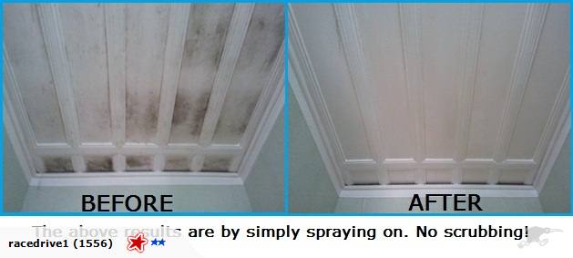 Free Download Clean Mould Mildew Off Wallpaper Ceiling Wall 1l