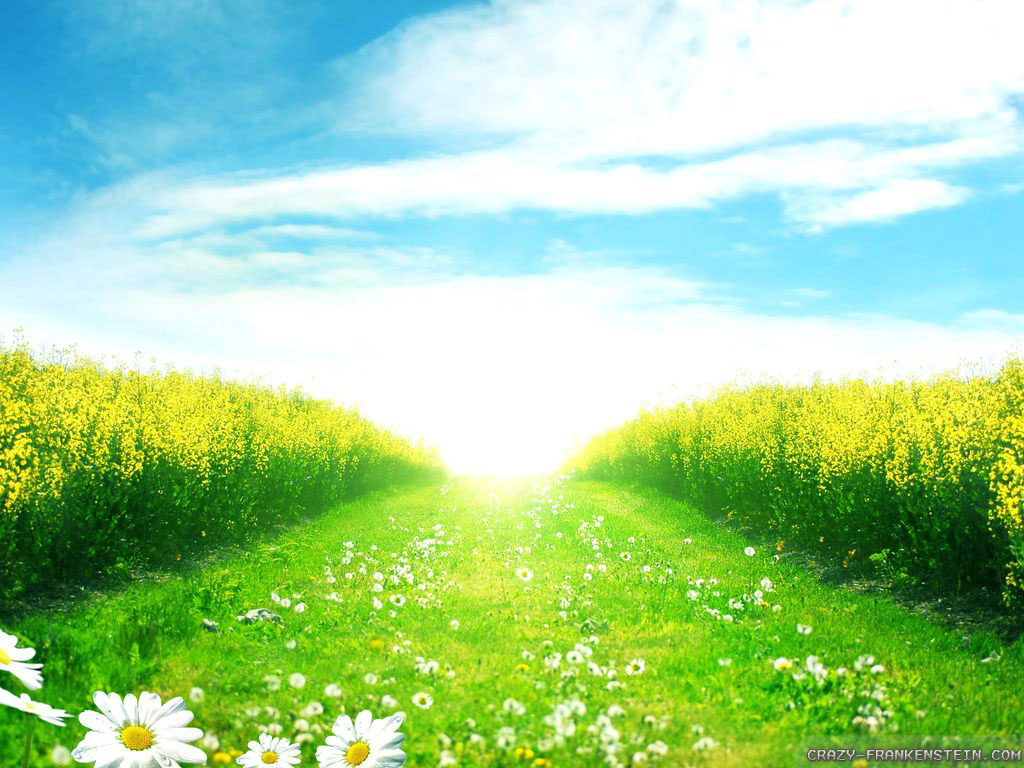 Spring Scenes Wallpaper High Quality