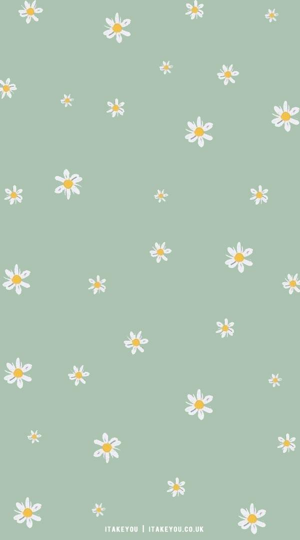Cute Spring Wallpaper Ideas Daisy Mint Green I Take