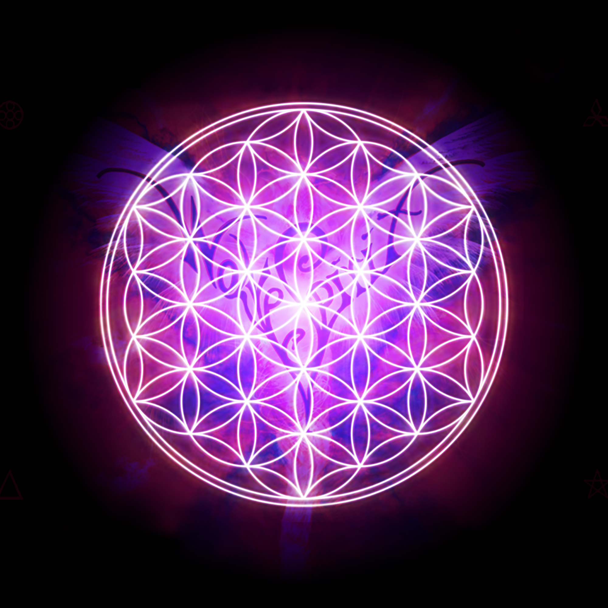  48 Flower Of Life Wallpapers WallpaperSafari