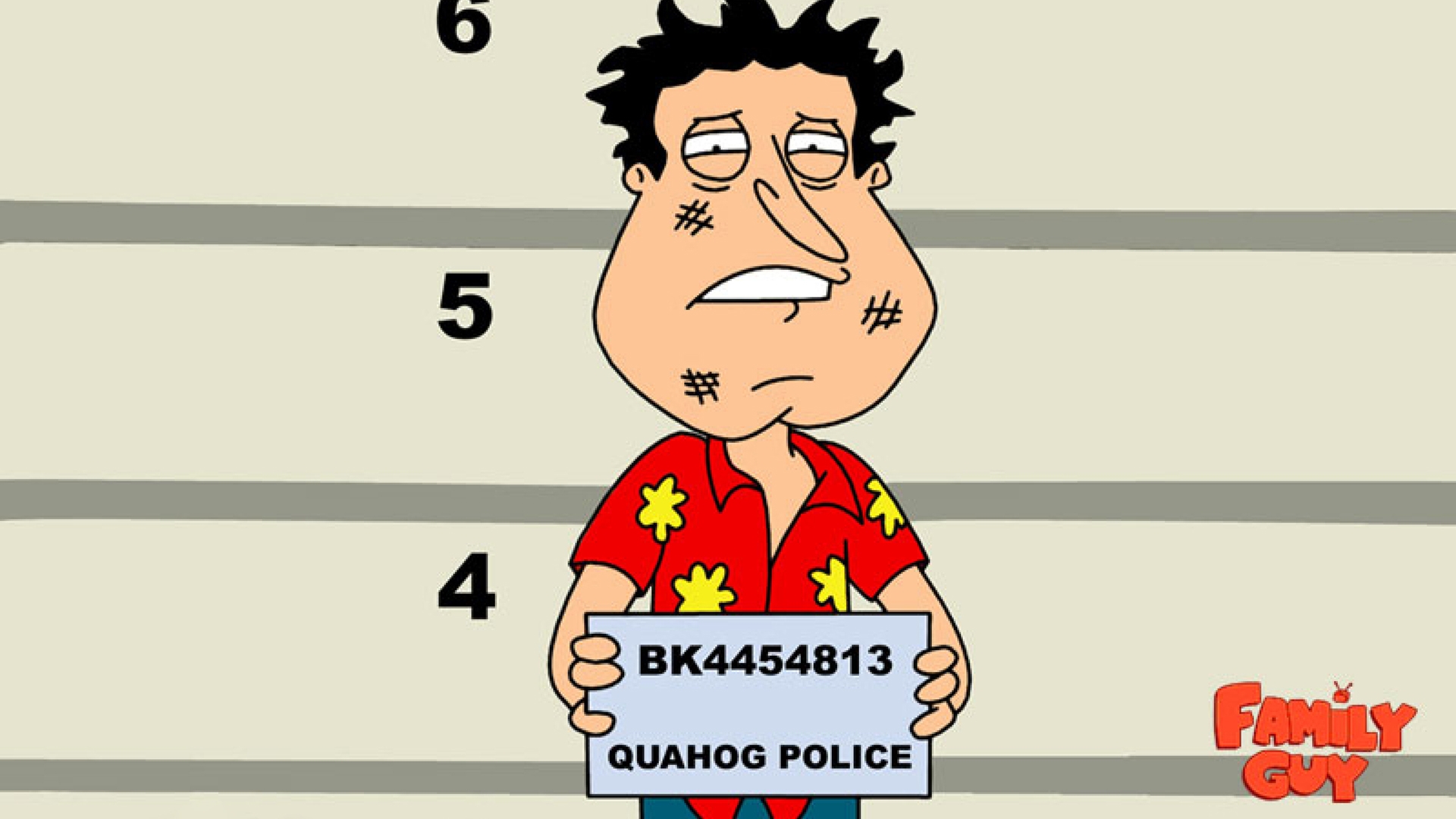 Family Guy Quagmire Wallpaper HD Desktop 2