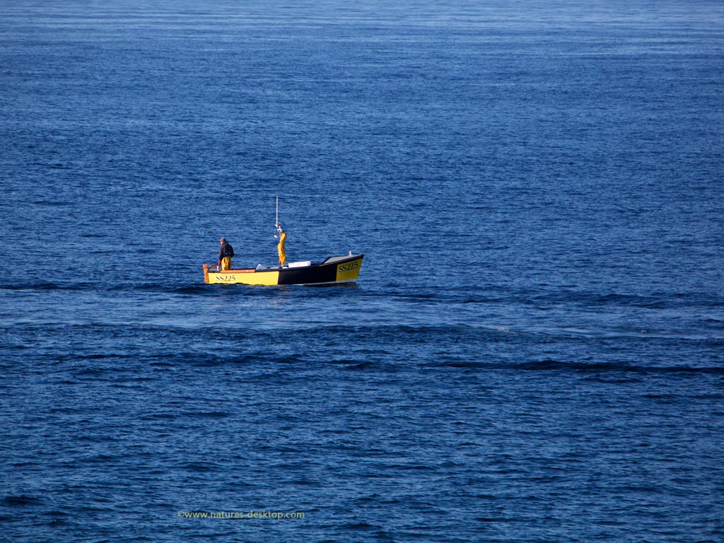 Desktop Wallpaper Of A Small Yellow Fishing Boat In Calm Deep Blue