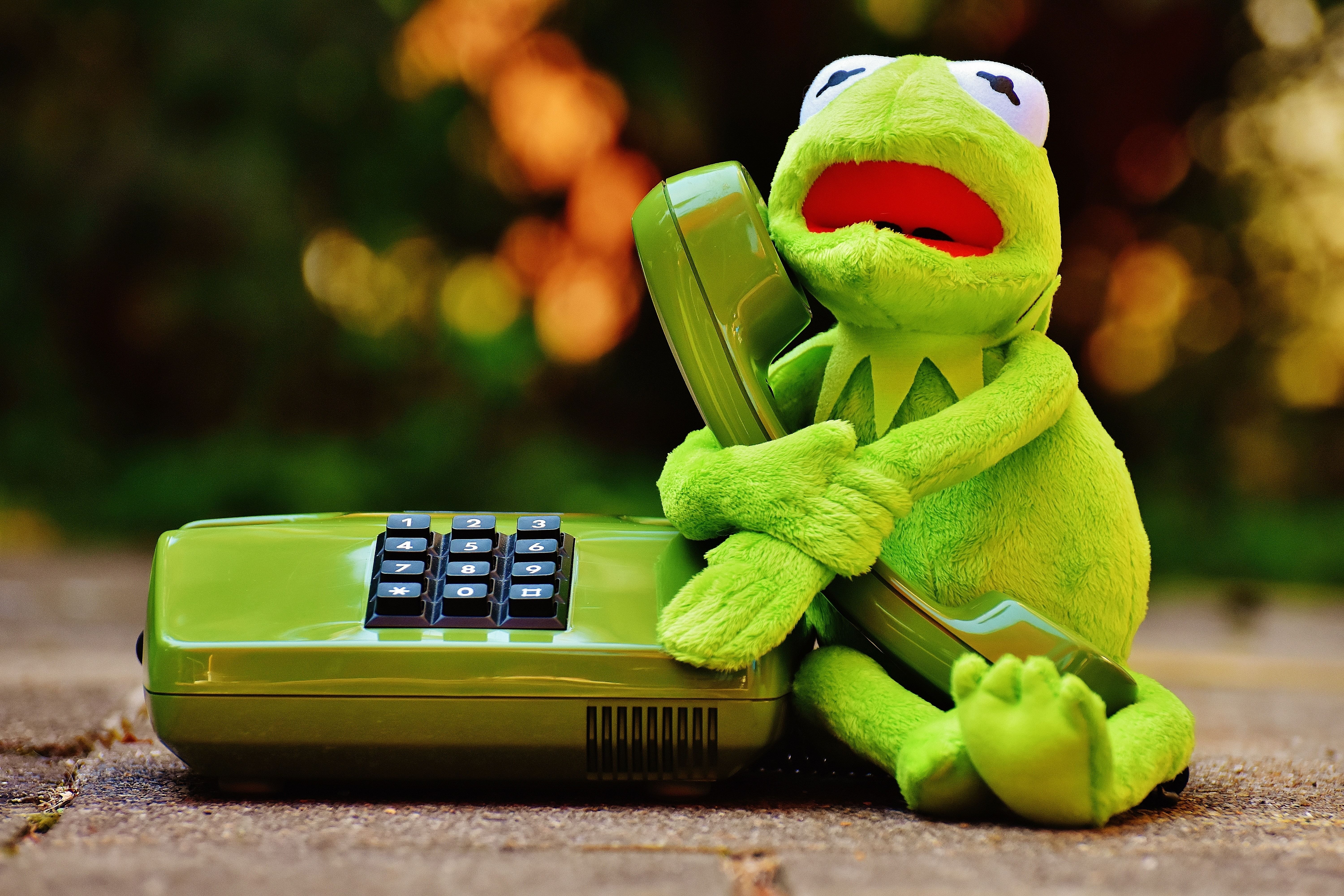 Cute Kermit The Frog Wallpaper On