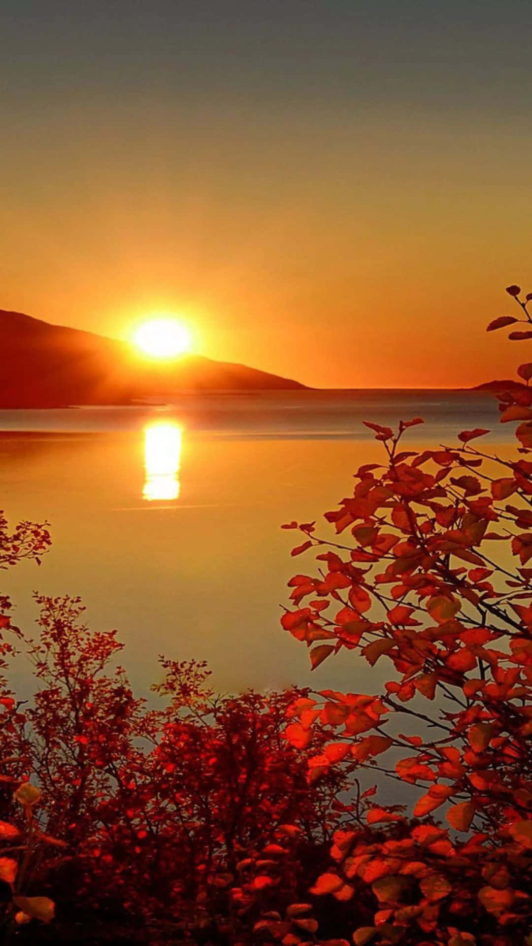 A Beautiful Of Sunshine Wallpaper
