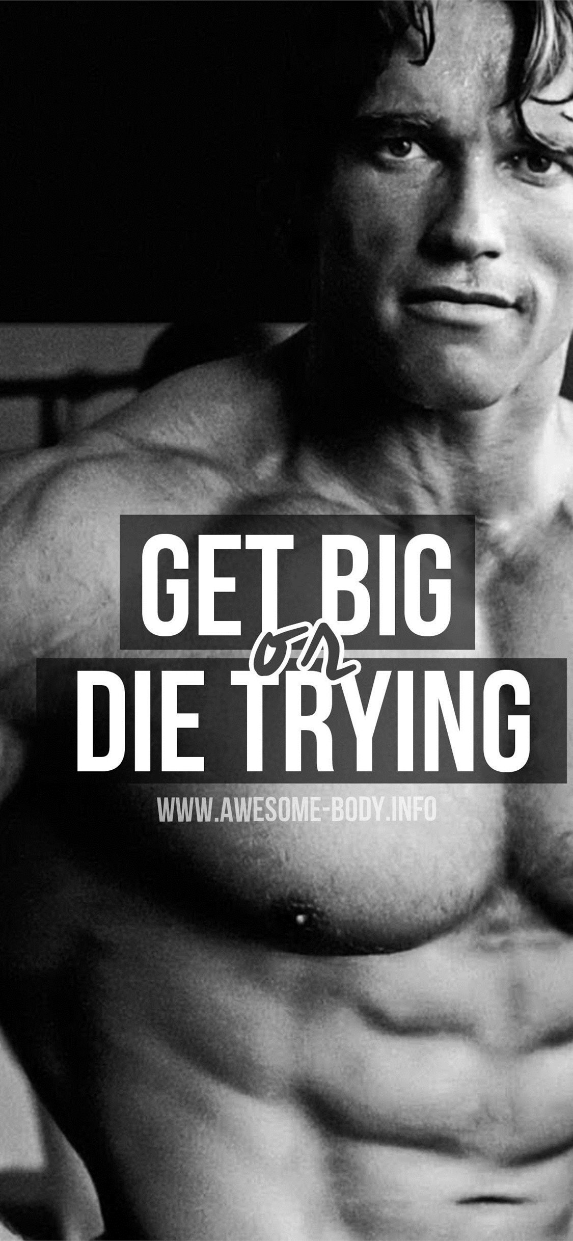 Best Arnold Schwarzenegger iPhone HD Wallpaper