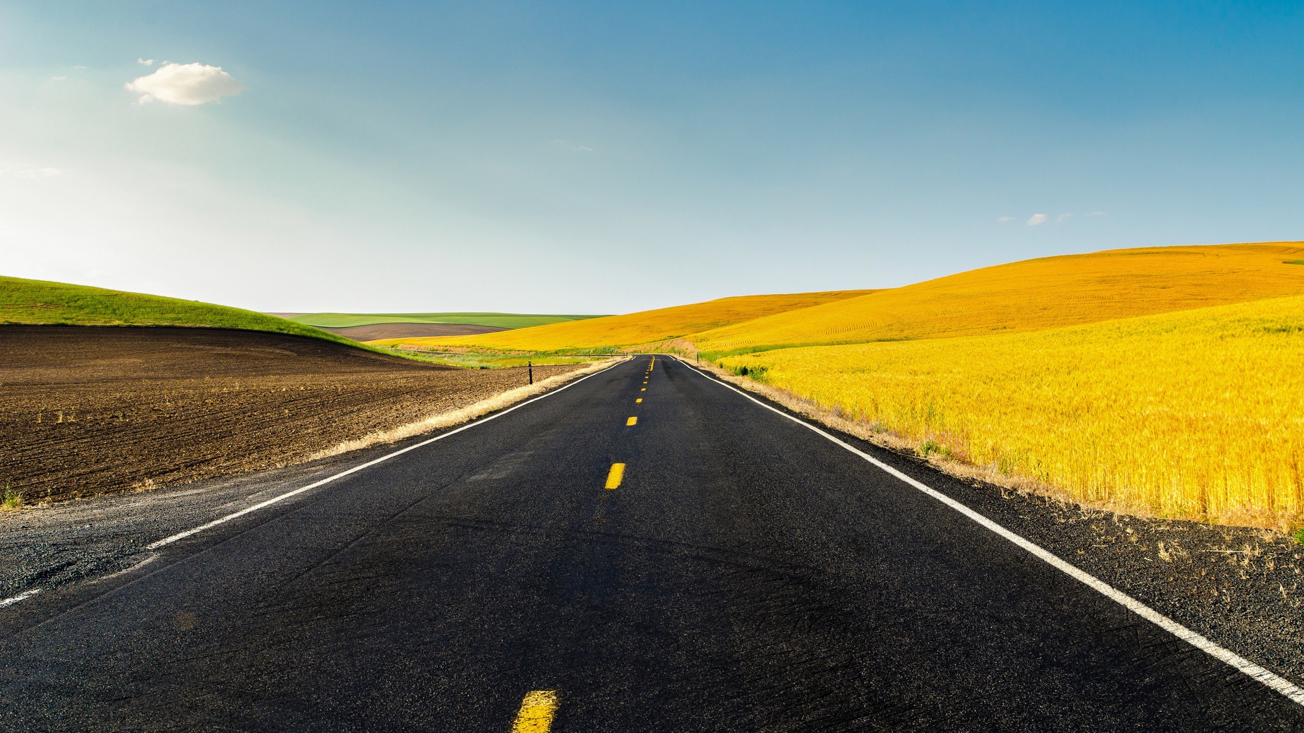 Road Trip Wallpaper