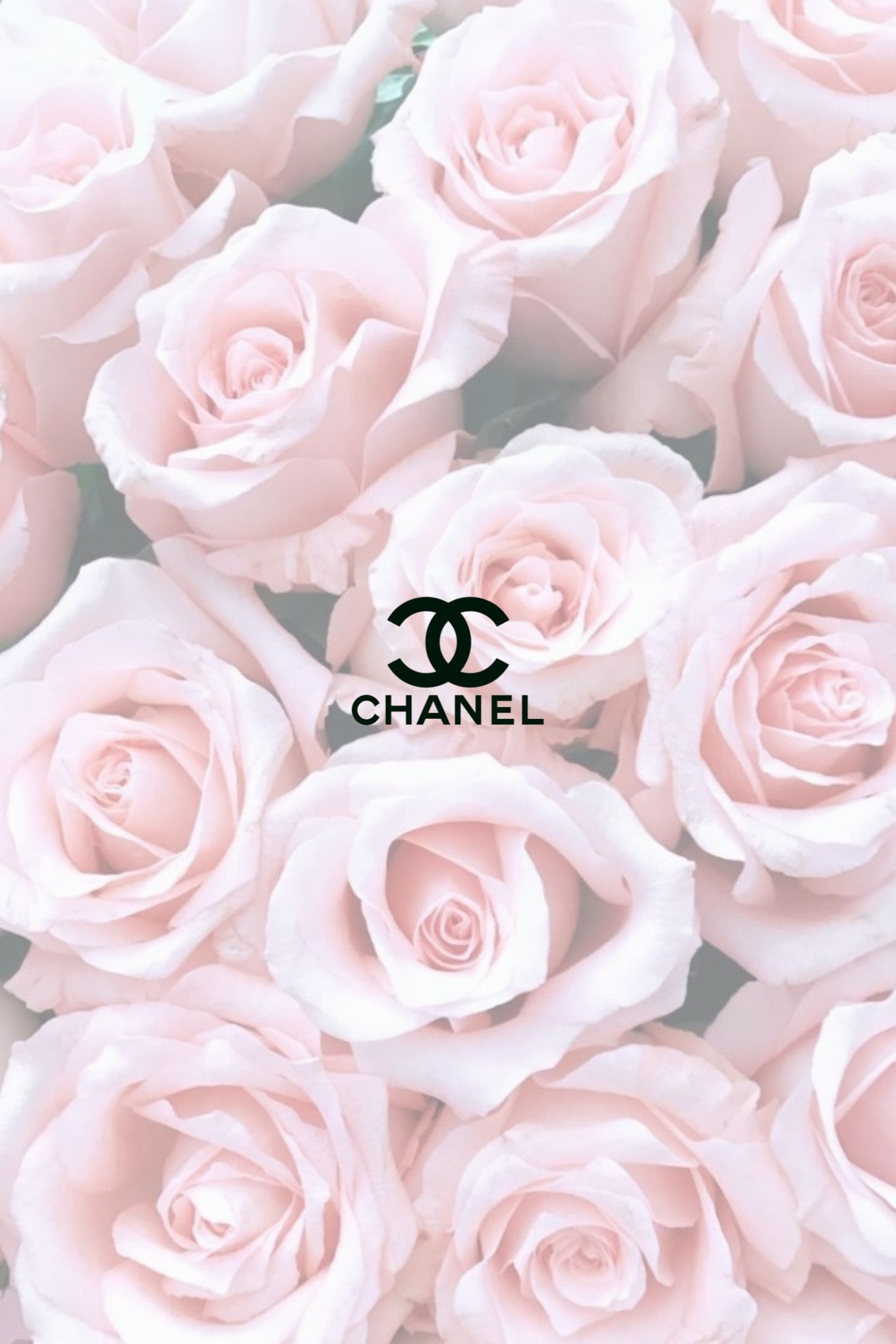Chanel Aesthetic Rose Wallpaper