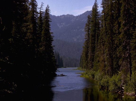 North Cascades River And Forest Wallpaper
