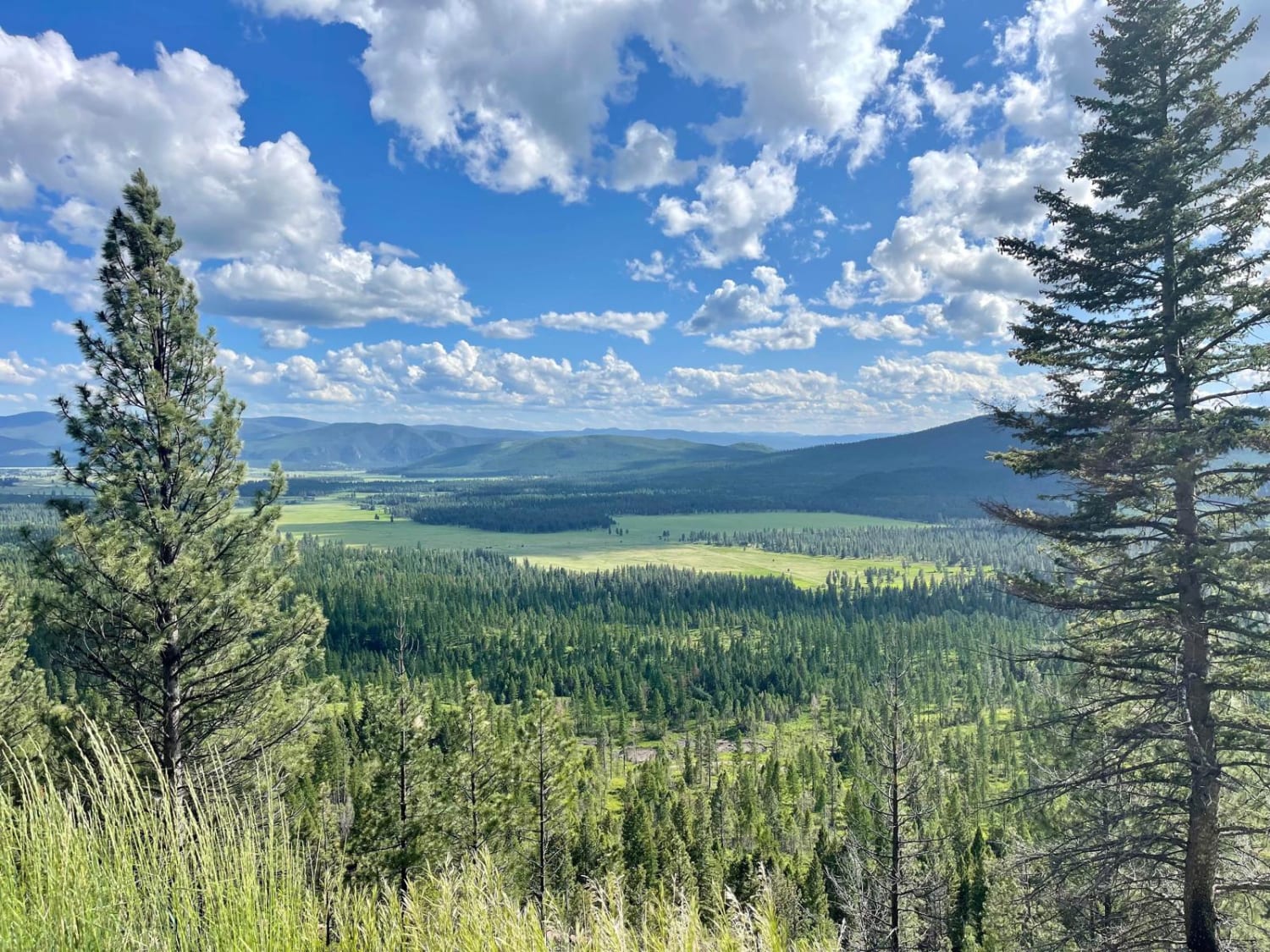 Black Canyon Montana Wallpaper