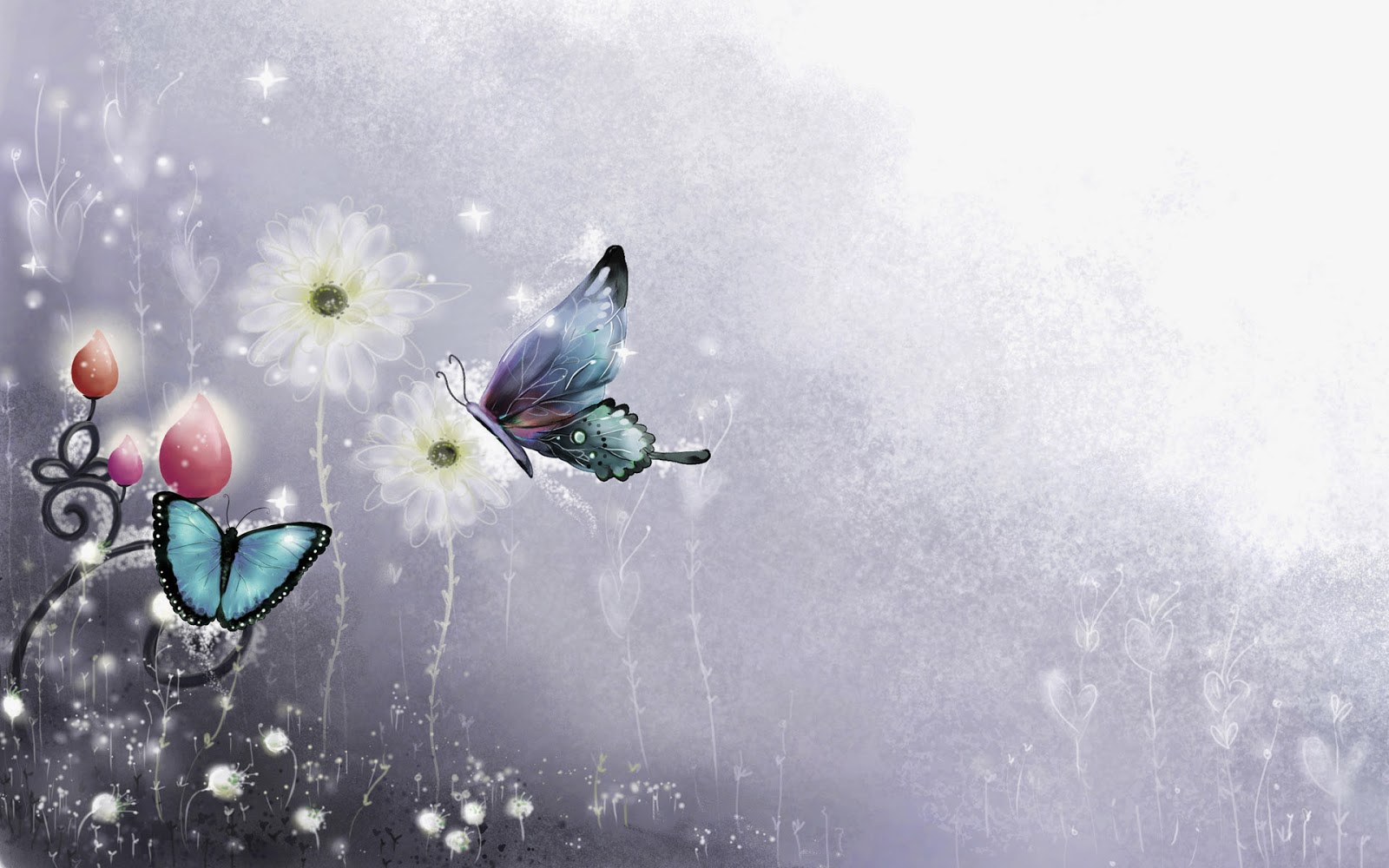 Colorful Butterfly HD Wallpaper Real Artistic