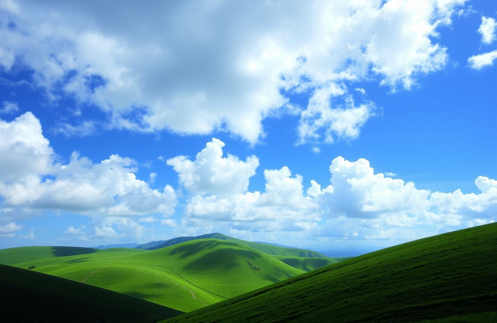 Toshiba Wallpaper Windows