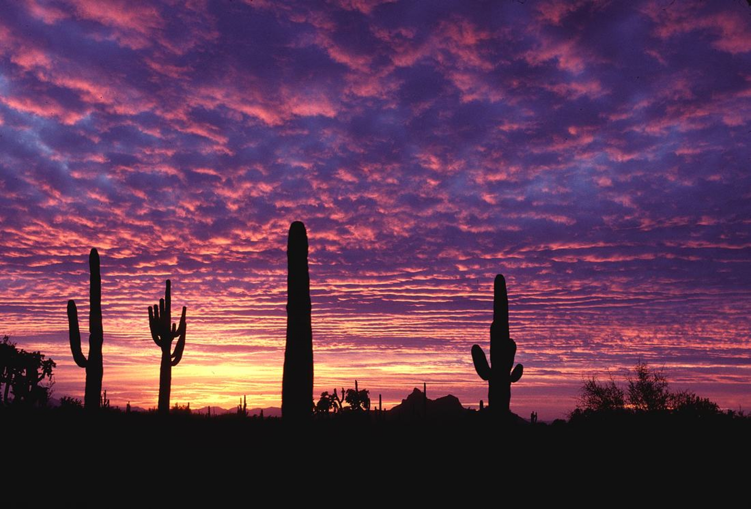  together Arizona sunset serves inspiration wallpapers backgrounds