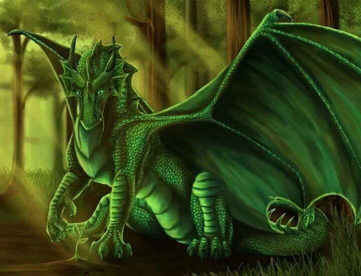 Beautiful Green Dragon Fantastical Dragons