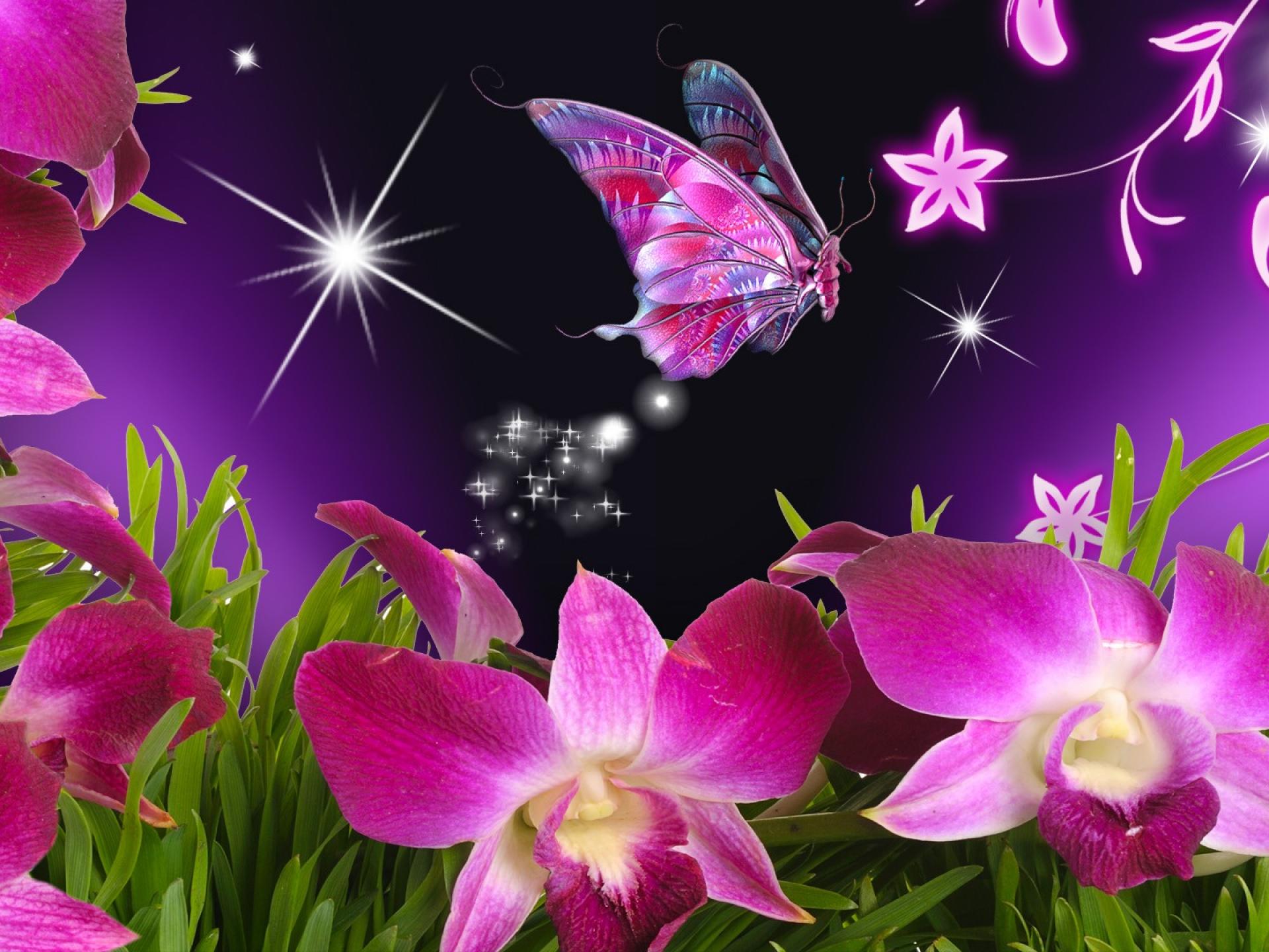 Pink And Purple Butterfly Wallpaper At Wallpaperbro