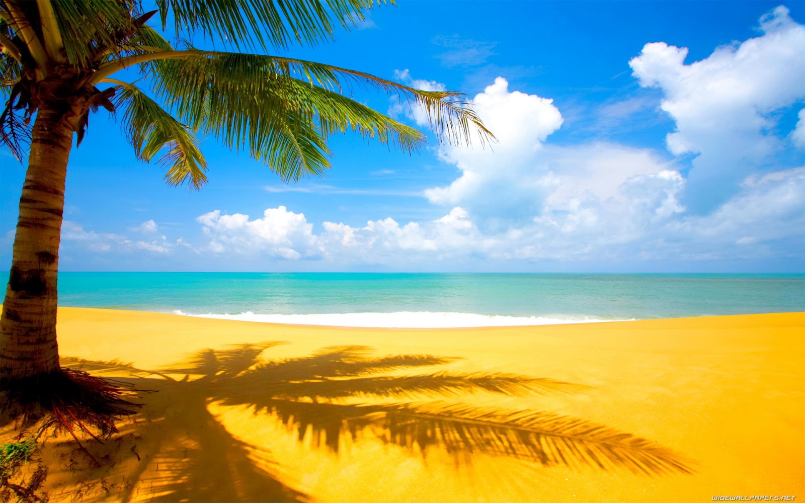 Beach High Res Nature Background Wallpaper For Widescreen Pc