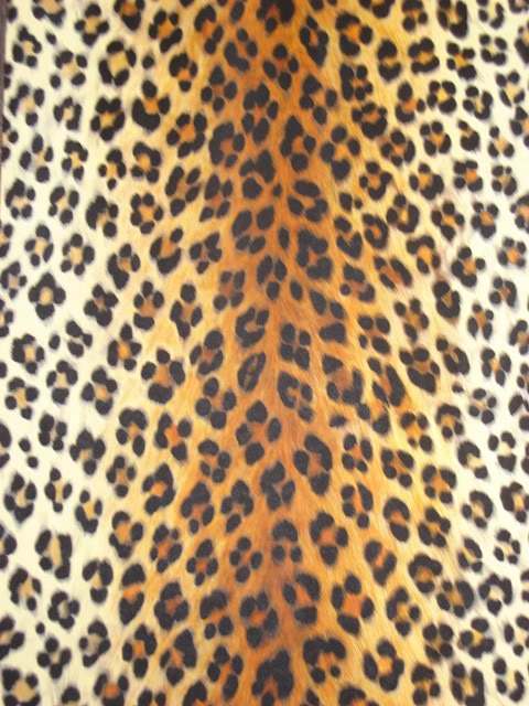 Jungle Leopard Animal Print Wallpaper