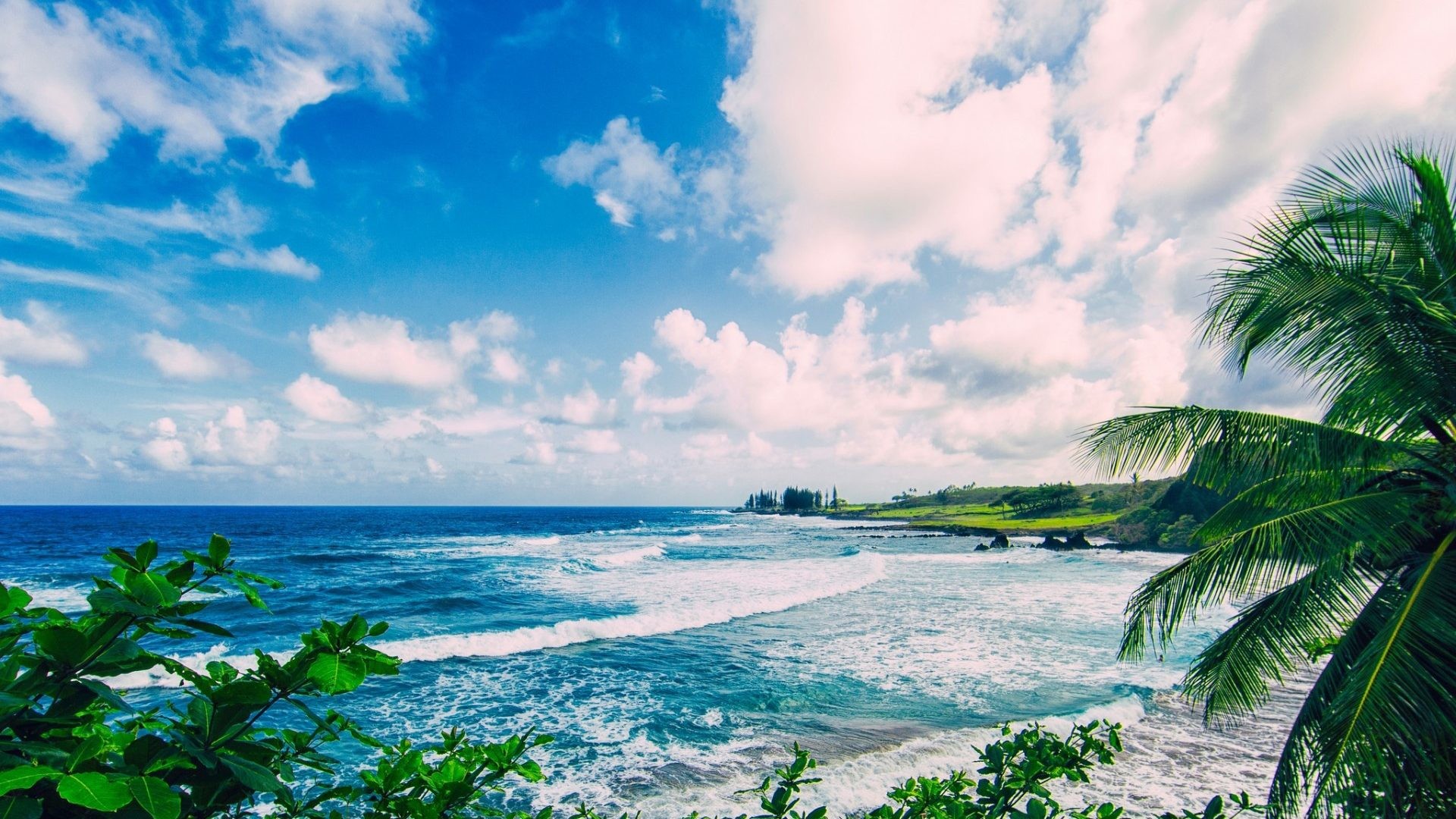 Scenic view of a Hawaiian beach with turquoise water, white waves, and lush green vegetation under a blue sky with scattered white clouds