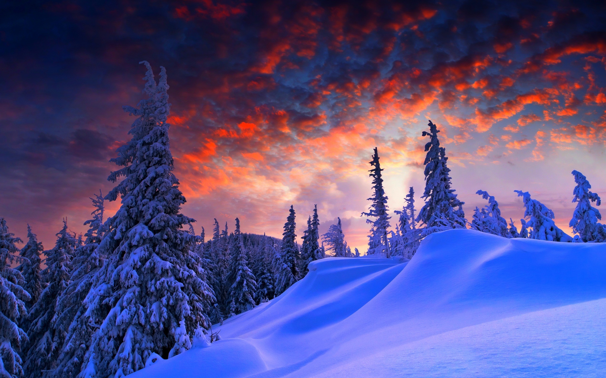 Winter Snow Wallpaper HD
