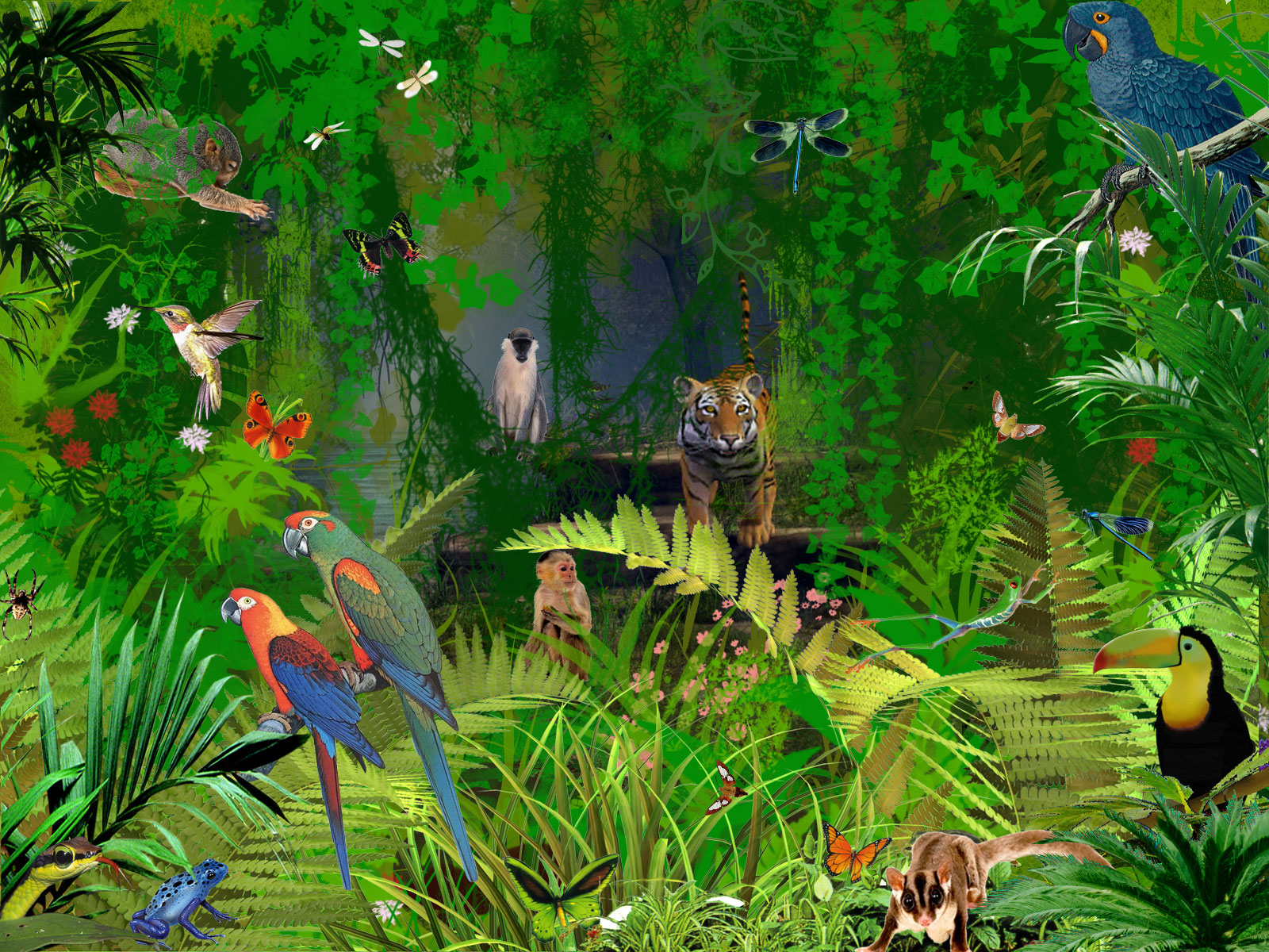 Wallpaper Jungle Animals Jpg