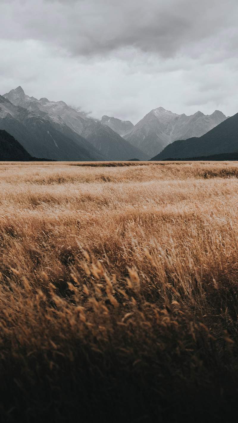 Aesthetic Plain Background Picture Image Wallpaper