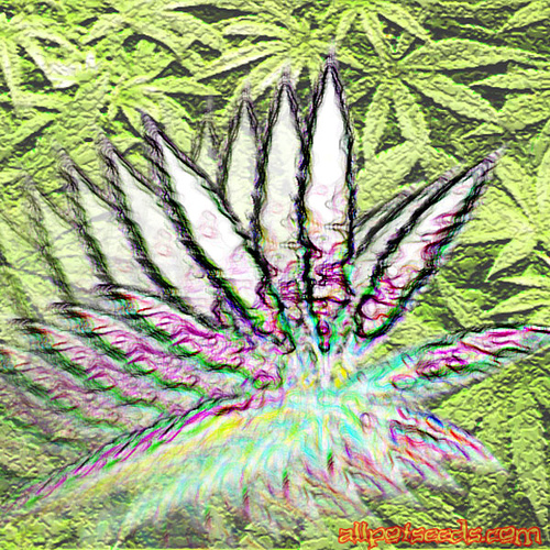 Collection Trippy Marijuana Leaf Famous Img