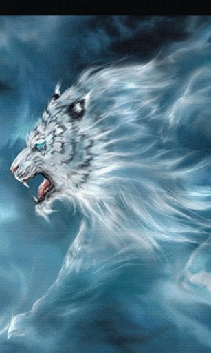 White Liger Live Wallpaper For Android Appszoom