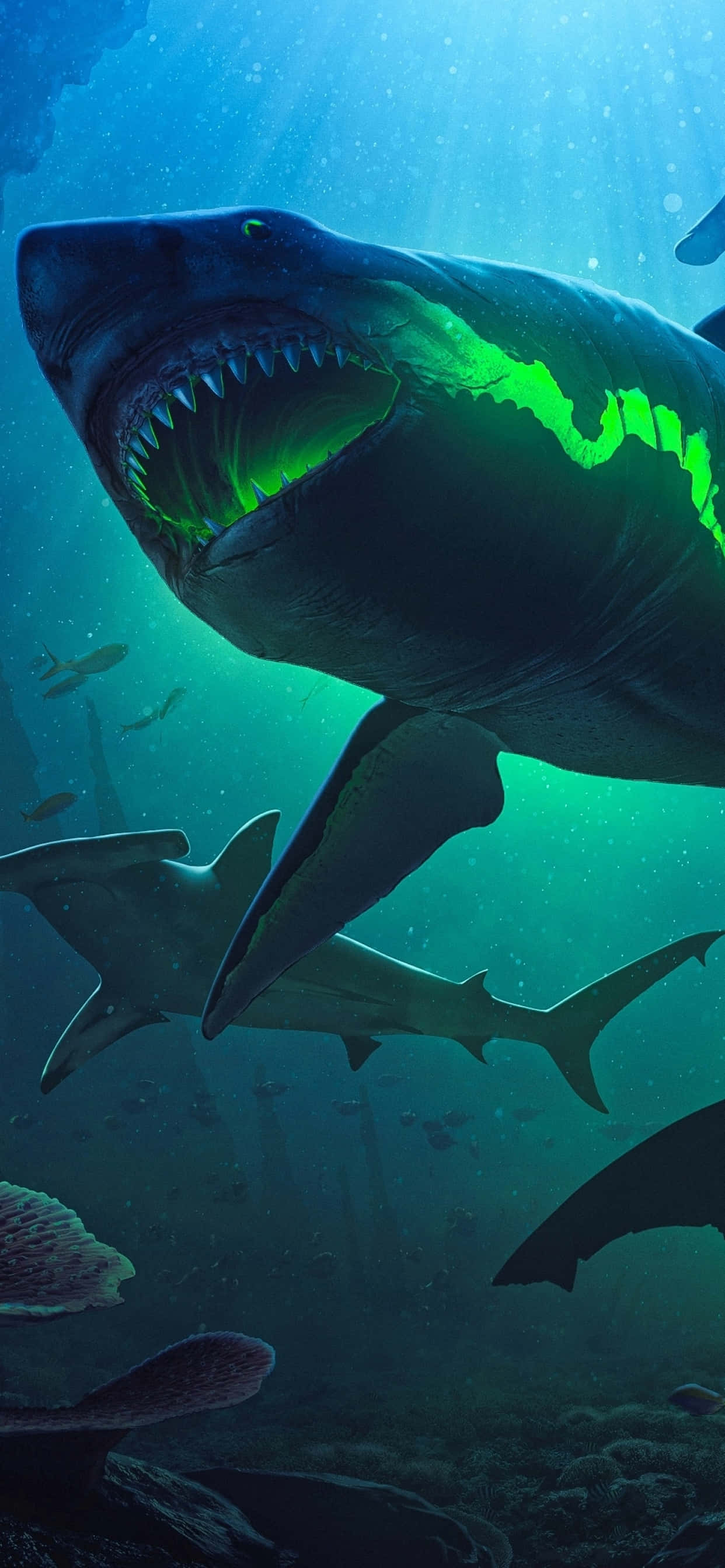 Shark iPhone Wallpaper