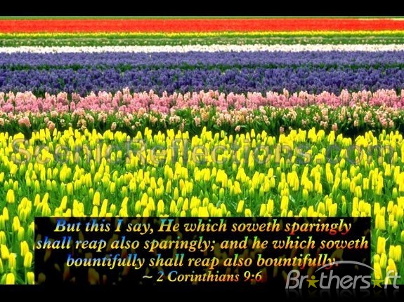 Spring With Bible Verses Screensaver