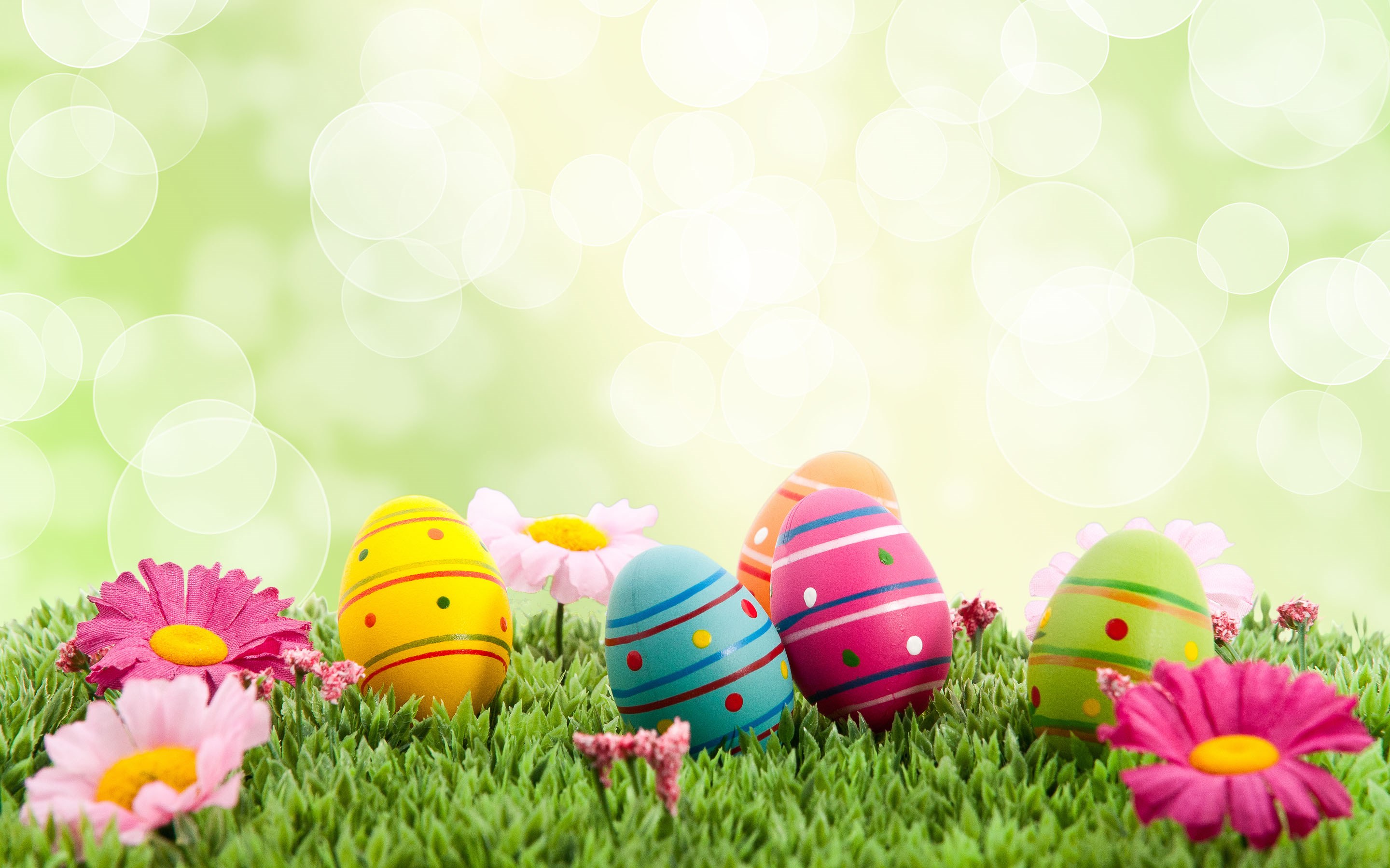 Free download Download Free Easter Wallpaper HD for Desktop Collection