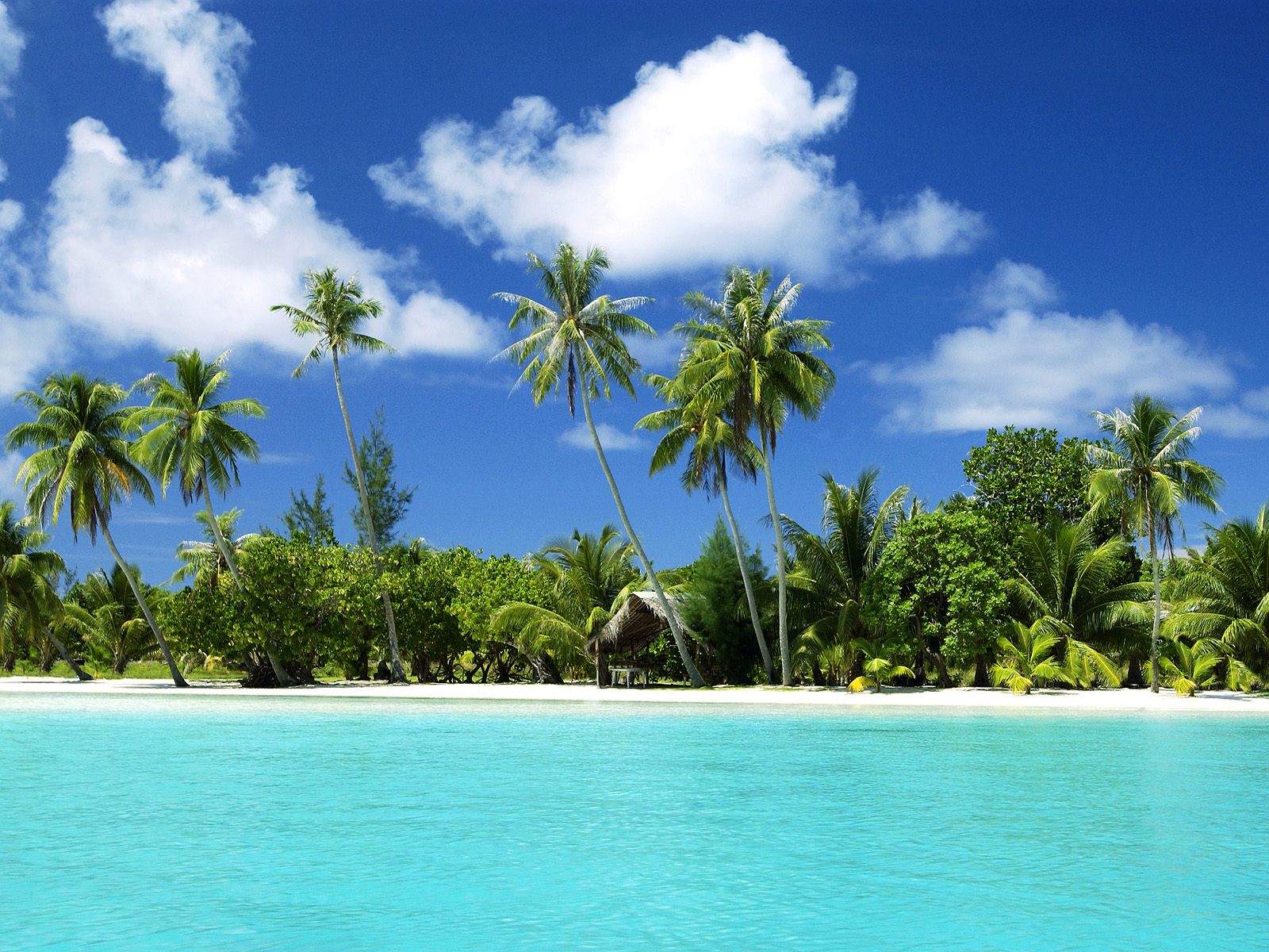 Tropical island paradise with white sand beach, turquoise water, and palm trees
