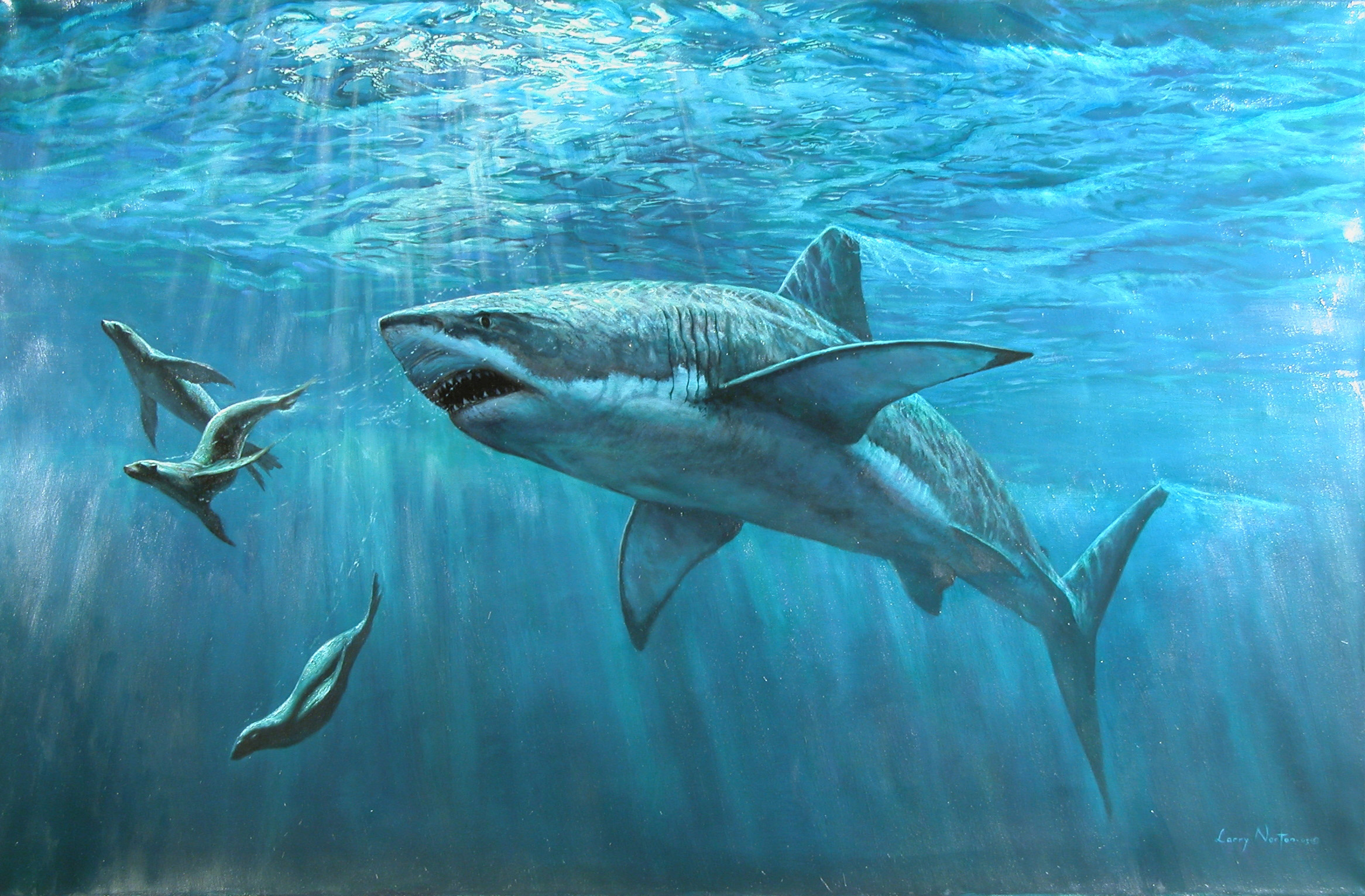 Wallpaper For iPhone Sharks