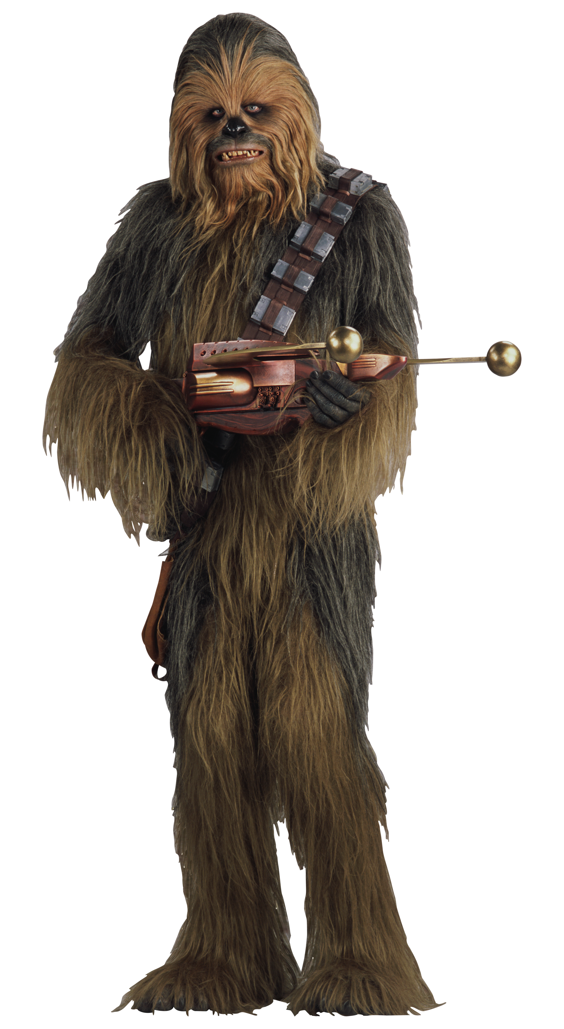 Wookiee Wookieepedia Fandom