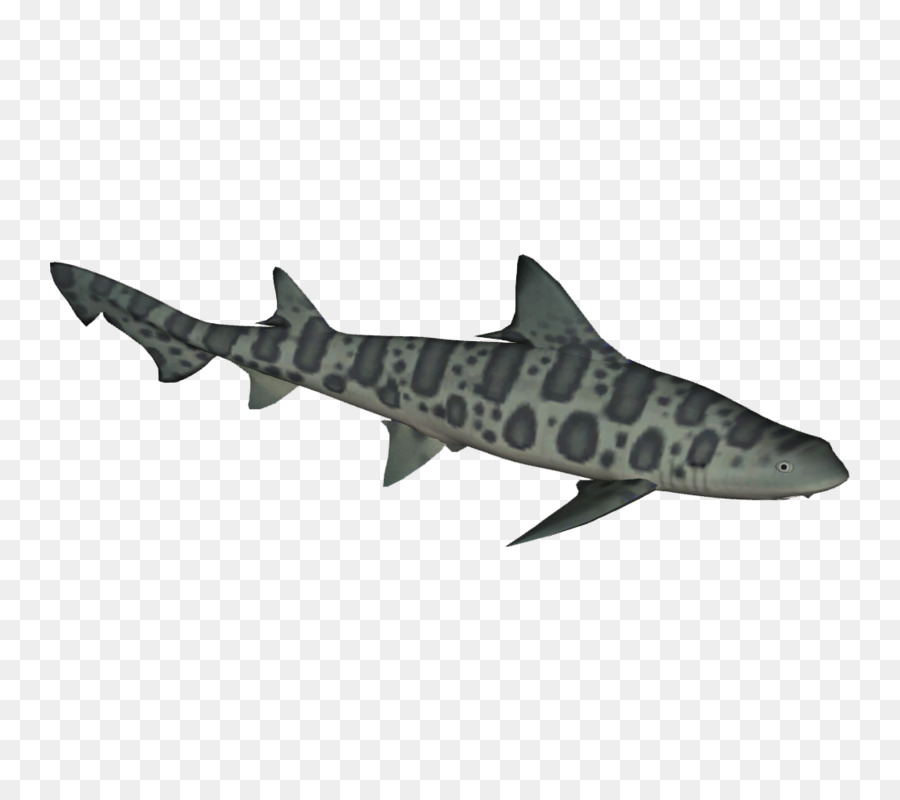 Shark Fin Background