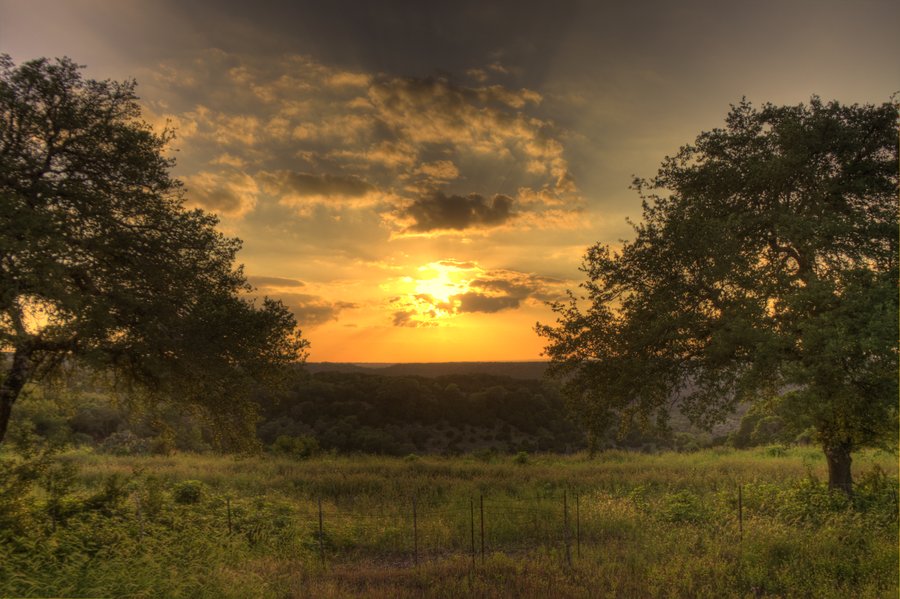 Texas Hill Country By Daelly