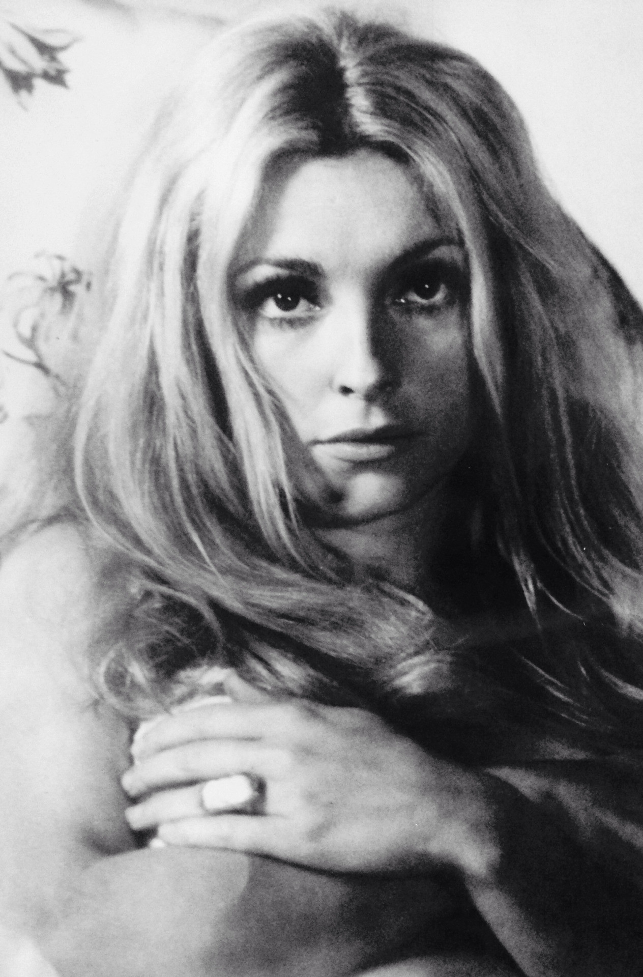 Sharon Tate Wallpaper