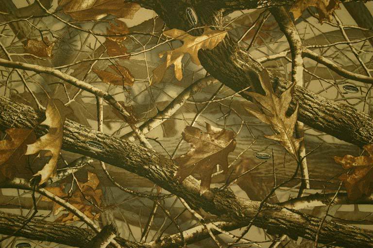 Realtree Camo Graphics Pictures Image For Myspace Layouts