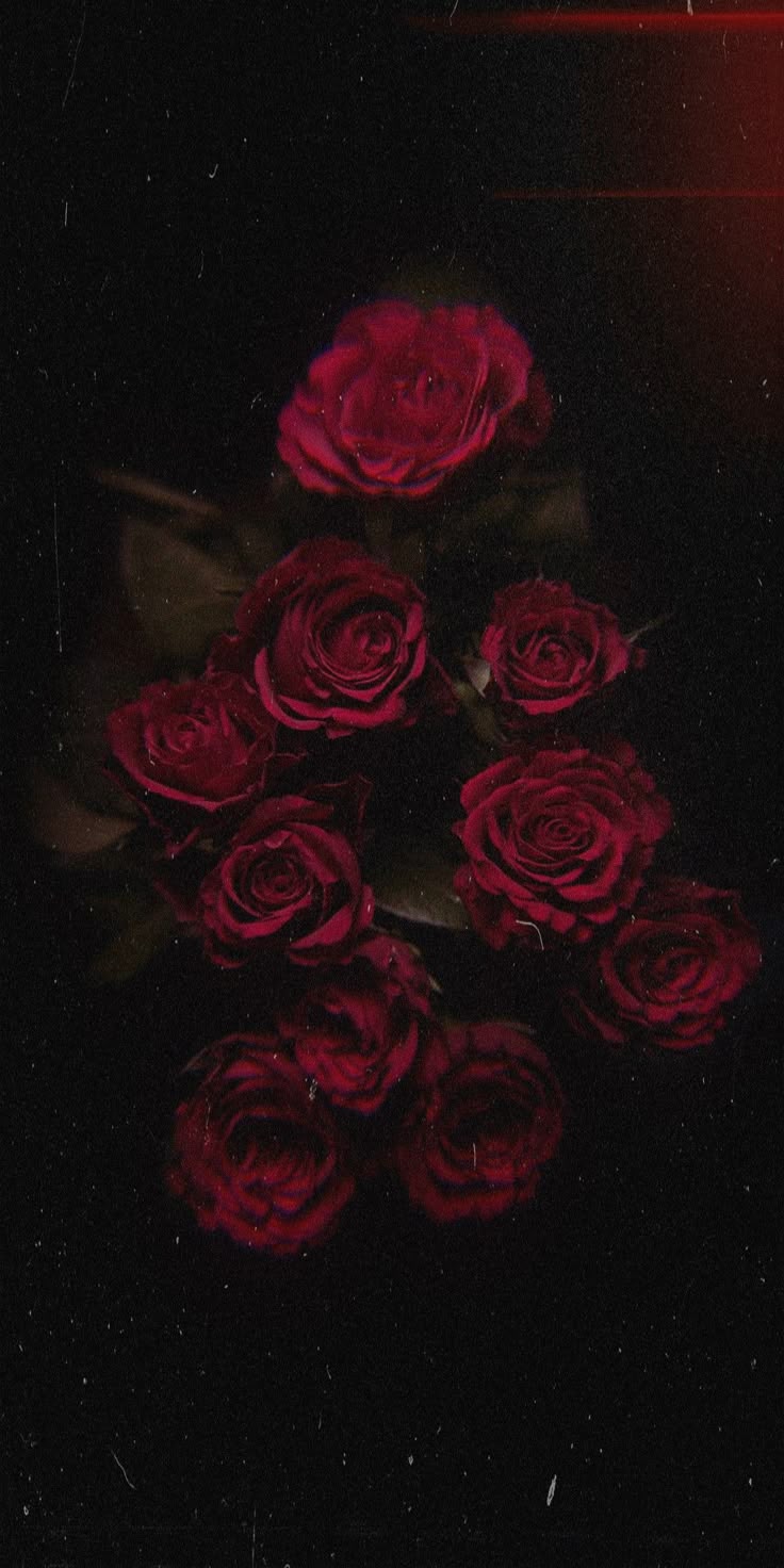 T Ng H P Roses Background Aesthetic Ch L Cao I Mi N Ph Wallpaper