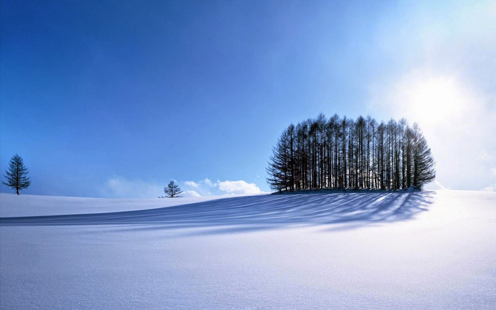 Beautiful Winter Scenery Wallpaper